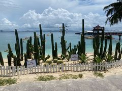 -三亚蜈支洲岛旅游区