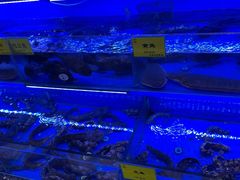 水产区-新海渔港·胶东海鲜家常菜·家宴(奥体中心店)