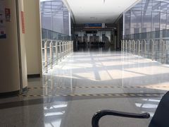 -首都医科大学附属北京天坛医院