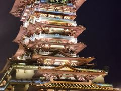 -绸都杨鸭子(总店)