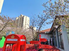 -高东镇樱花园