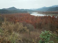 -黄牛肉馆·皖南土菜