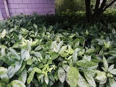 -南京财经大学(仙林校区)