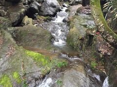 -藏龙百瀑风景区