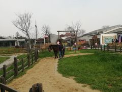 -田园东方蜜桃村的田野营地