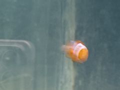 -太奥幻太奇海洋馆