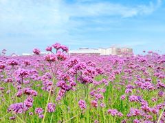 -敬亭山风景名胜区