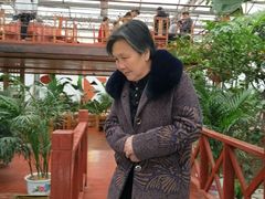 -南和农业嘉年华