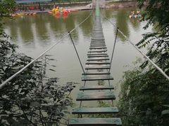 -东方巨龟苑景区