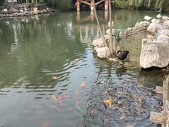 -天毓山庄·餐厅