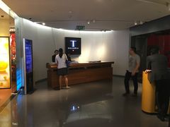 门面-DFS旗下T广场(新加坡店)