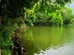 -深圳仙湖植物园