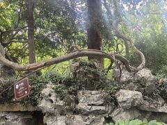 -绮园景区