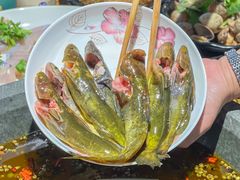-石锅苗苗鱼(武汉首店)