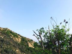 -南丫岛