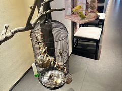 -悦融·京鲁菜·露台花园(安定门店)
