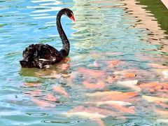 -春晖园度假酒店温泉