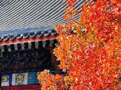 -香山公园