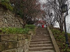 -磁器口古镇