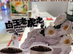 -书亦烧仙草(万家丽一店)