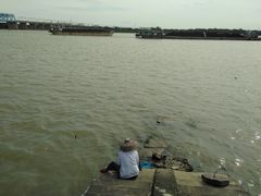 景观位-菠菜美食