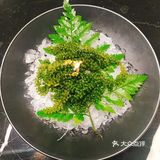 深圳探店｜民煮料理，好吃的日本料理