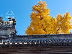 -承恩寺