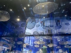 -盒马X会员店(上海森兰商都店)