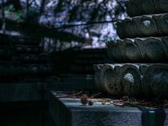 -阿育王寺