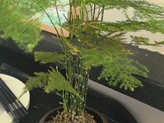-一江水食府(后湖店)