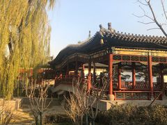 -迎泽公园