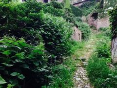 -枸杞岛