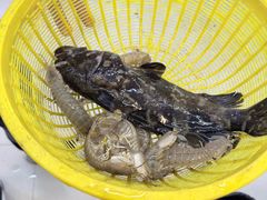 -鑫鸿达·海鲜闽菜热炒小馆(中山路店)