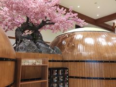 -天沐温泉(抚顺店)