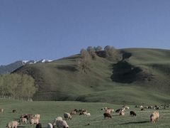 -新疆那拉提国家旅游度假区