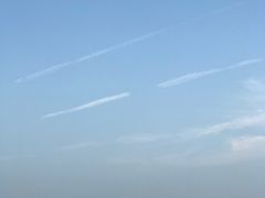 -日照海滨国家森林公园