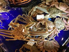 -蟹道乐(道顿堀本店)