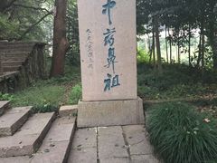 -桐君山春江扬帆码头