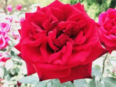 -人民公园(罗湖区)