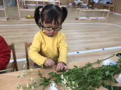 -培奇全纳幼儿园(苹果谷园区)