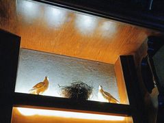 -骑士KTV(红谷滩万达店)
