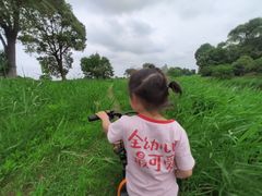 -漕湖湿地公园