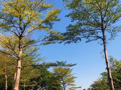 -白鹭洲公园
