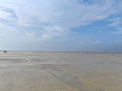 -红树林天天赶海