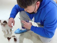 -藏猫猫咖啡主题馆(中央大道店)