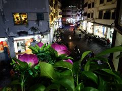 -文昌鸡饭店110号(中山路店)