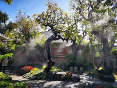 -Chom Cafe and Restaurant