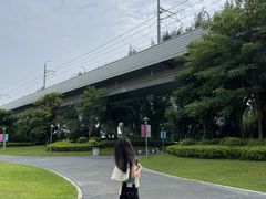 -宝安西湾红树林湿地公园