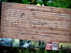 -中国科学院西双版纳热带植物园