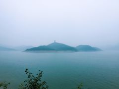 -望湖烤鱼